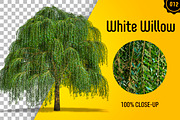 CUT OUT TREES - 60 PCS BUNDLE, a Packaging Mockup by 3DSTORE (Thumbnail 13 of 63)
