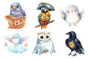 Halloween Birds Clipart, an Illustration by Daily.Designs (Thumbnail 3 of 5)