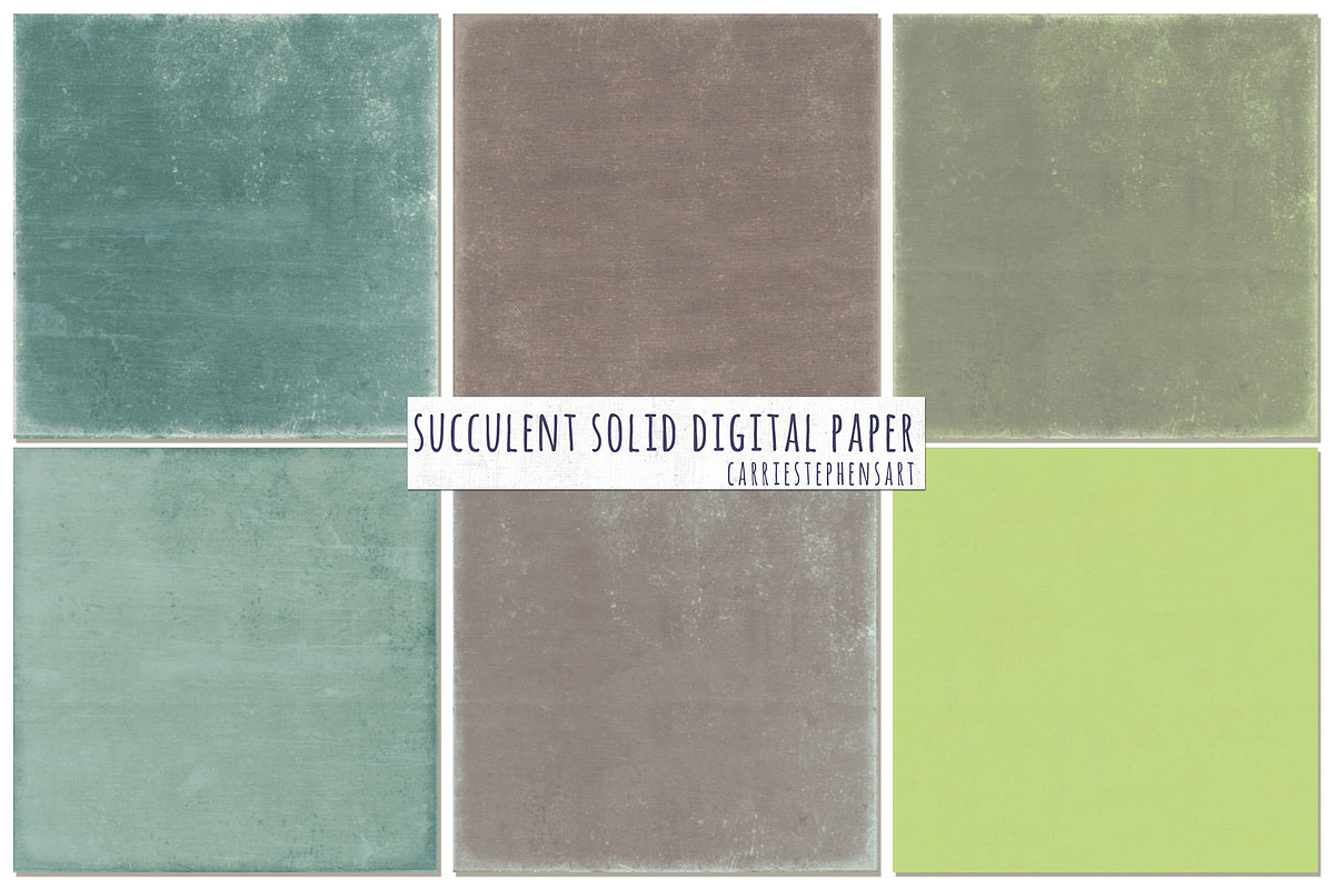 Succulent Solid Digital Backgrounds preview 4