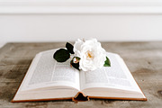 Bible Study Bundle - 45 Stock Photos, a Holiday Photo by JanaBishopCollection (Thumbnail 10 of 20)
