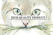 Street Cats, an Animal Illustration by Budogoshch (Thumbnail 4 of 6)