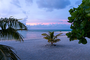 Sunset over a serene beach in Tikehau, French Polynesia, a Nature Photo by GoodGoods