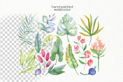 Watercolor Flowers Bundle, an Illustration by OllyKo Art (Thumbnail 10 of 15)