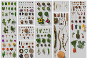Nature Scene Generator, a Product Mockup by h3design (Thumbnail 3 of 19)