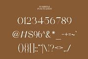 Blacke Brown | Modern Stylish, a Serif Font by Muntab_Art (Thumbnail 11 of 11)