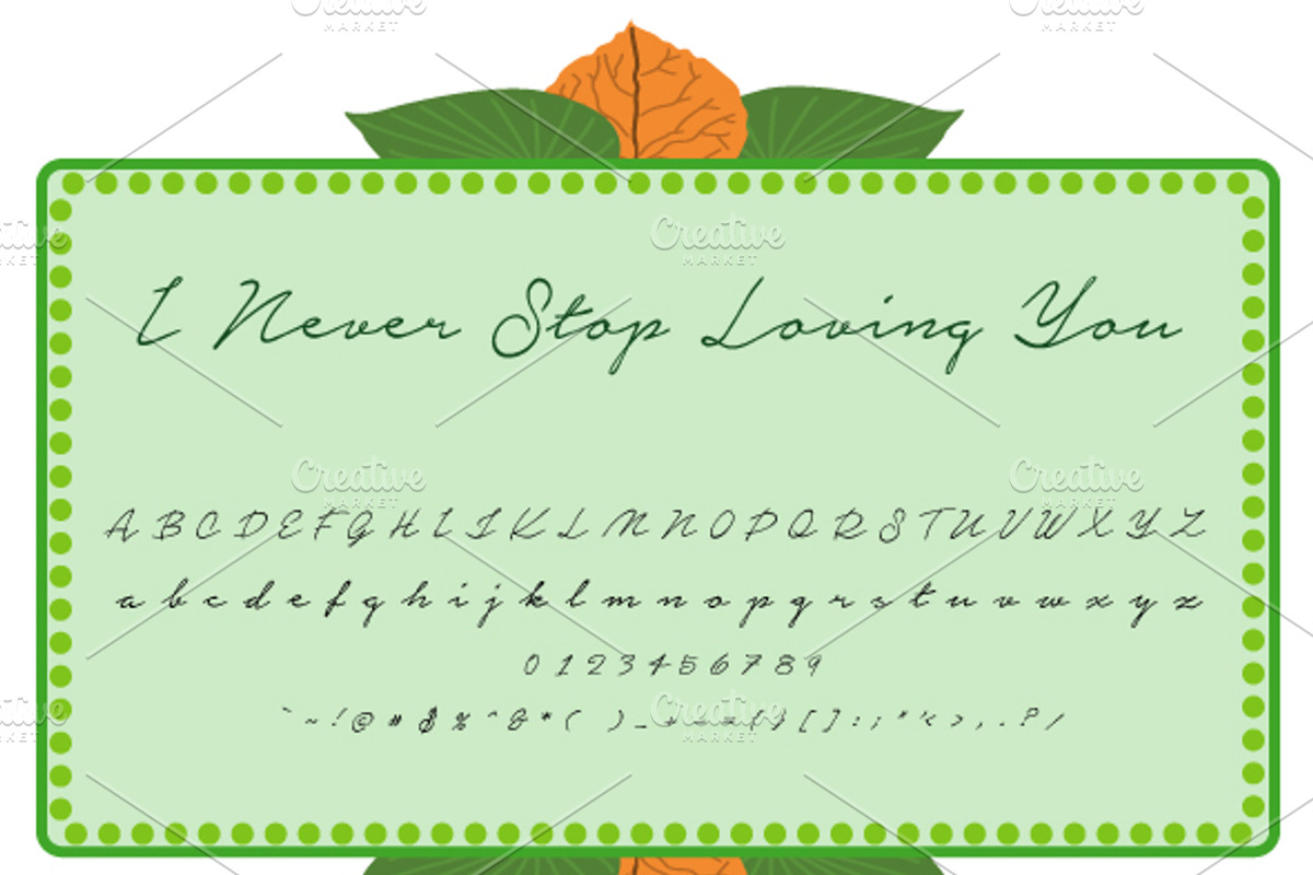 Signalove preview 2