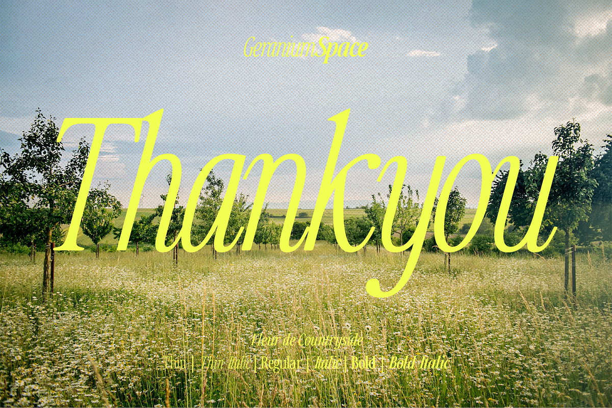 Countryside - A Modern Serif Family, a Serif Font by Megi Satyo Widodo (Photo 21 of 22)