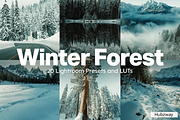 20 Winter Forest Lightroom Presets, a Preset Add-On by Hubzway (Thumbnail 1 of 13)
