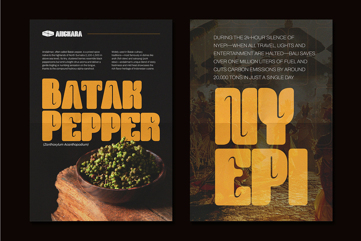 Dhalu - Display Sans Font, a Sans Serif Font by CuratedType Studio (Photo 6 of 10)