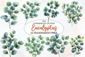 Watercolor Eucalyptus Clipart, an Illustration by Designworld