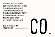 The vintage logo & font super bundle, a Branding & Logo Template by Tropical Type (Thumbnail 15 of 16)