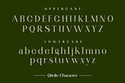 Qitello Ligature Serif Typeface, a Serif Font by Alfinart (Thumbnail 7 of 10)