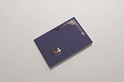 165 Brochure Mock-ups Big Bundle, a Print Template by pmvch (Thumbnail 159 of 170)
