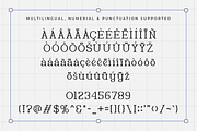 Fabious-Modern Classy Serif Typeface, a Serif Font by overlaytemplates (Thumbnail 5 of 5)