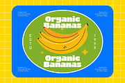 Fresh Chunky Retro Groovy Sans, a Sans Serif Font by timelesstype.co (Thumbnail 9 of 15)
