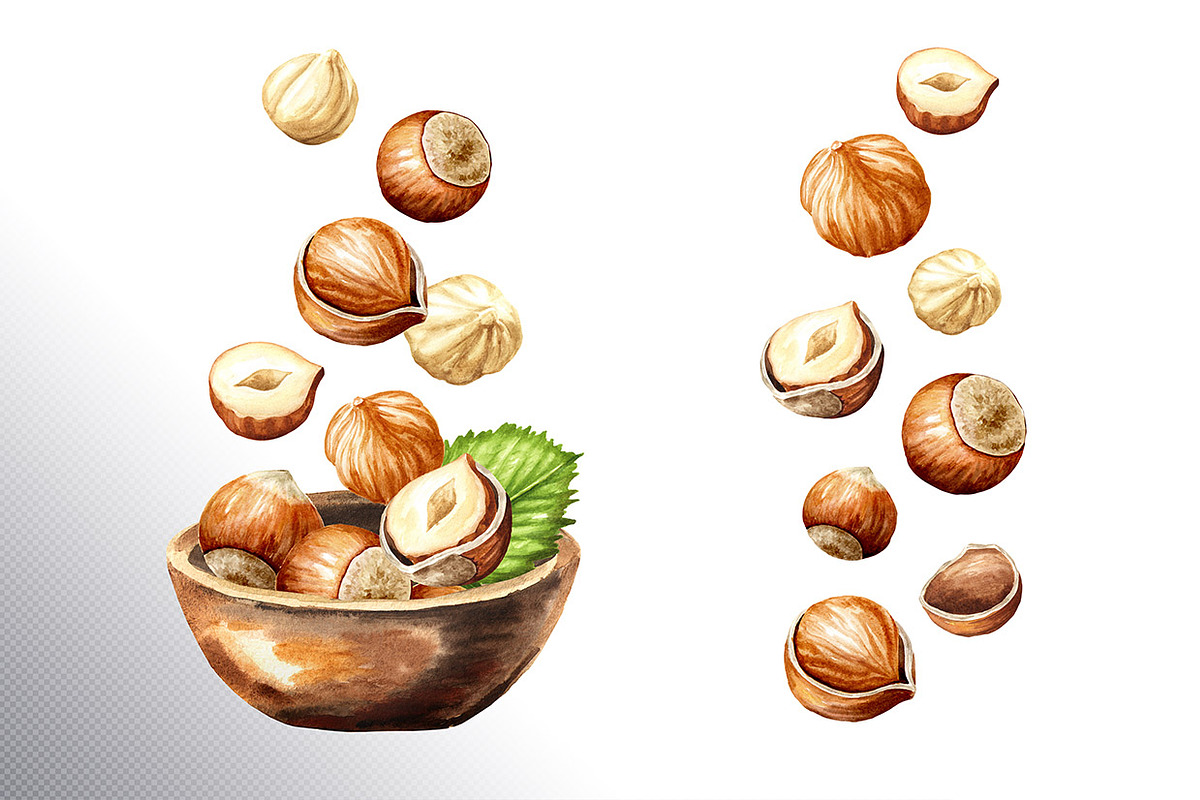 Huzelnuts. Watercolor collection, a Food Illustration by Daria Ustiugova (Photo 11 of 23)