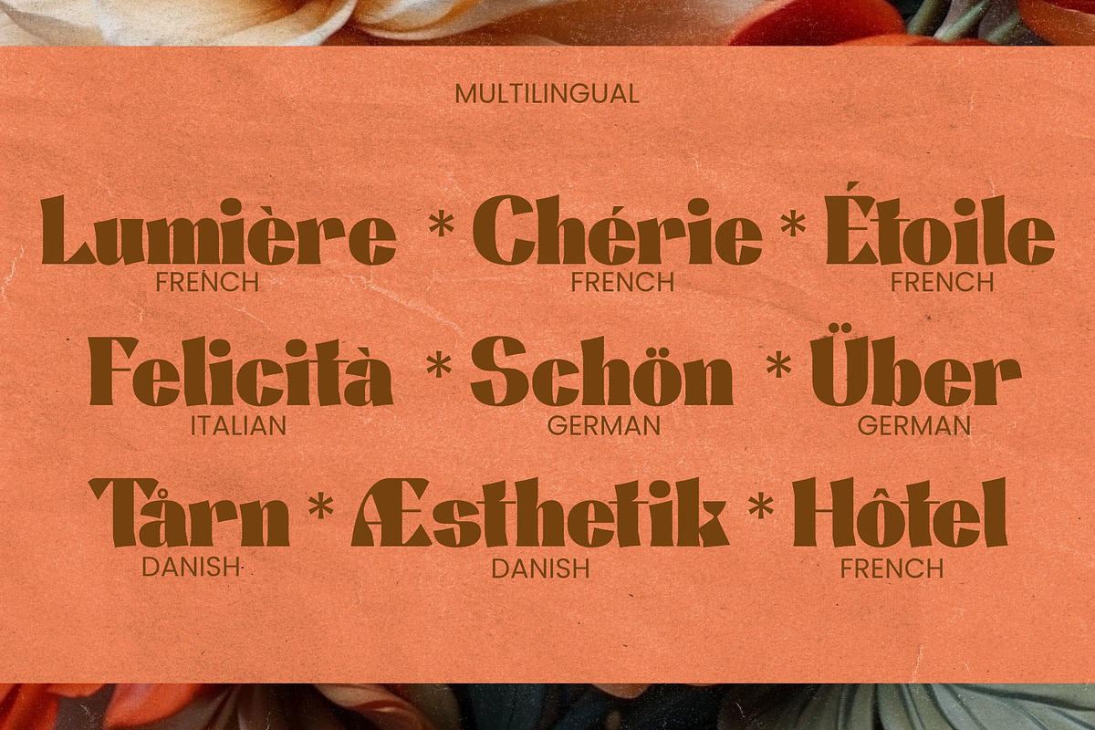 Alinta - Neo Retro Display Typeface, a Serif Font by Surplus Type Co (Photo 4 of 9)
