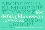 Screwby Extra Wide Family, a Serif Font by Pink Broccoli (Thumbnail 2 of 3)