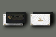 50 Golden Business Cards Bundle, a Business Card Template by Marvel (Thumbnail 4 of 51)