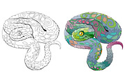 Decorative snakes for coloring, an Object Graphic by Watercolor fantasy (Thumbnail 4 of 7)