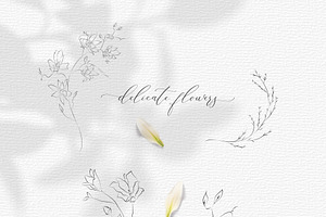 Line Drawing Botanical Wreaths, an Illustration by Olya Creative