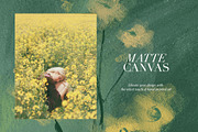 Matte Soft Blured Floral Backgrounds, a Background Graphic by Elena Pimonova (Thumbnail 10 of 11)