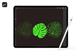 Procreate Monstera Leaf Brushes Set