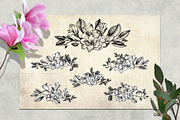 Magnolia flowers. Engraving style., a Decorative Illustration by Alena Kaz (Thumbnail 6 of 12)