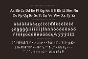 Katrine Nikolas Modern Serif, a Serif Font by timelesstype.co (Thumbnail 19 of 20)