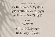 Sutena, a Script Font by Integritype Studio (Thumbnail 11 of 12)