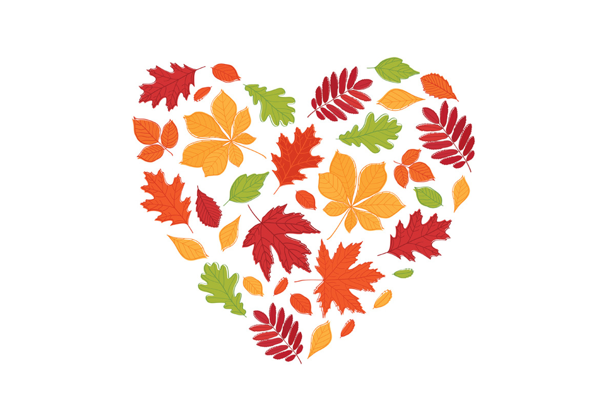 Hand drawn autumn leaves., an Education Illustration by Tkoko vectors & patterns (Photo 6 of 12)