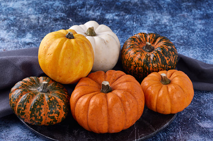 Mini Pumpkins & Gourds on dark plate