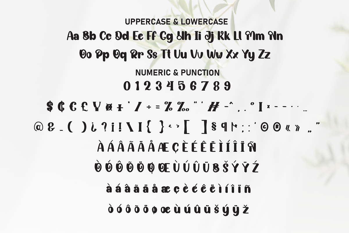 Hostania | Script Font, a Script Font by Scratchones (Photo 7 of 9)