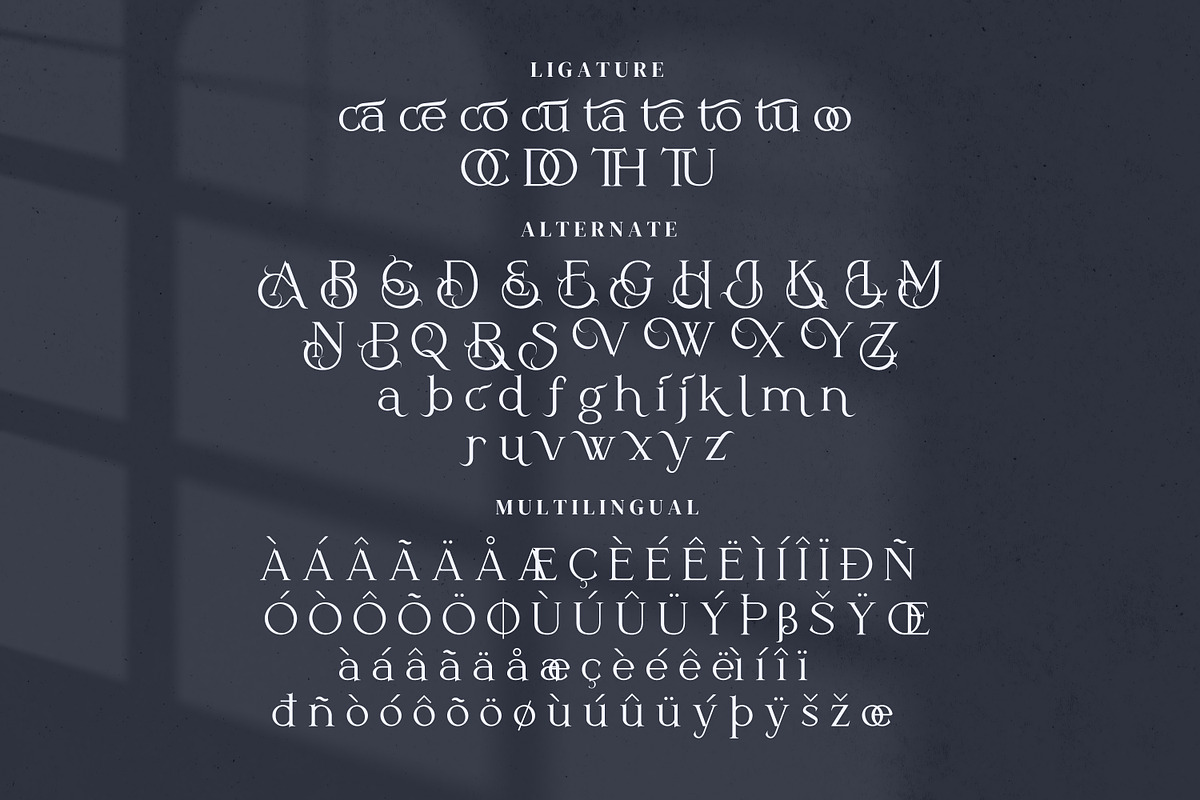 Hitorald Serif Fonts, a Serif Font by mahstudios (Photo 13 of 15)