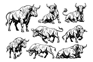 Vector of powerful bulls. Wildlife, an Animal Illustration by yod67