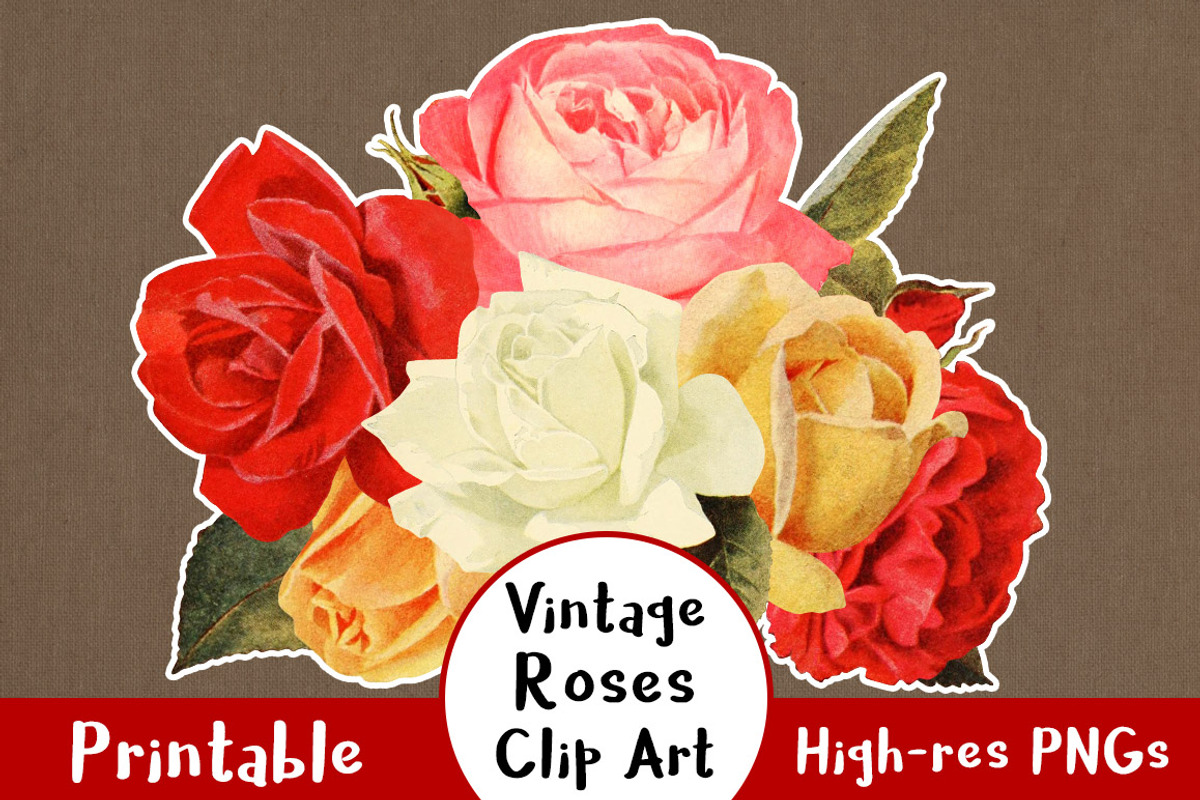 38 Vintage Rose Clip Art Graphics, an Illustration by The Digital Download Shop (Photo 1 of 3)