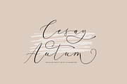 Amber Dishonest, a Script Font by moriztype (Thumbnail 6 of 10)