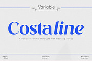 Costaline Font Family| Sale 40%, a Serif Font by Megatype (Thumbnail 1 of 15)