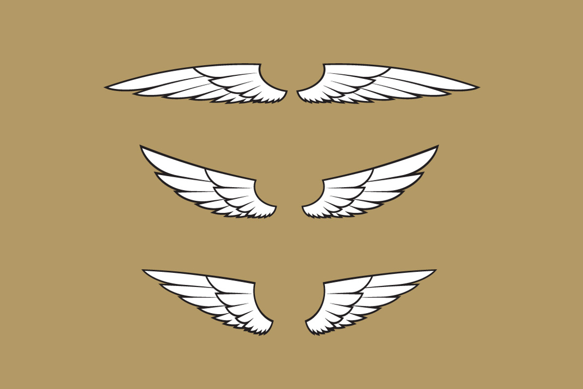 160 Pairs of Vector Wings, an Object Graphic by Damien (Photo 9 of 17)