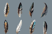 Feathers, an Illustration by As Studio (Thumbnail 3 of 3)