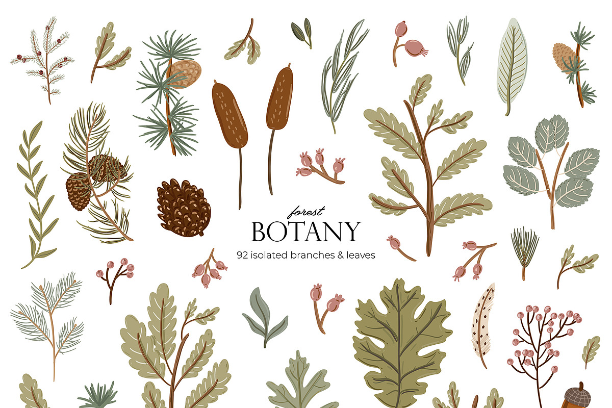 Seasonal Botany BUNDLE, an Object Graphic by Ruslana Lubenets (Photo 27 of 100)