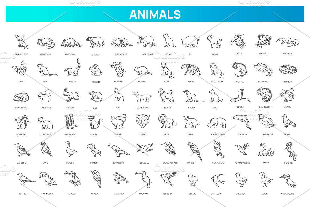Animal icons. Vector icon set, an Animal Illustration by Tettygreen (Photo 1 of 3)