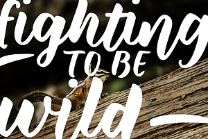 Wild Creatures Brush Font Family