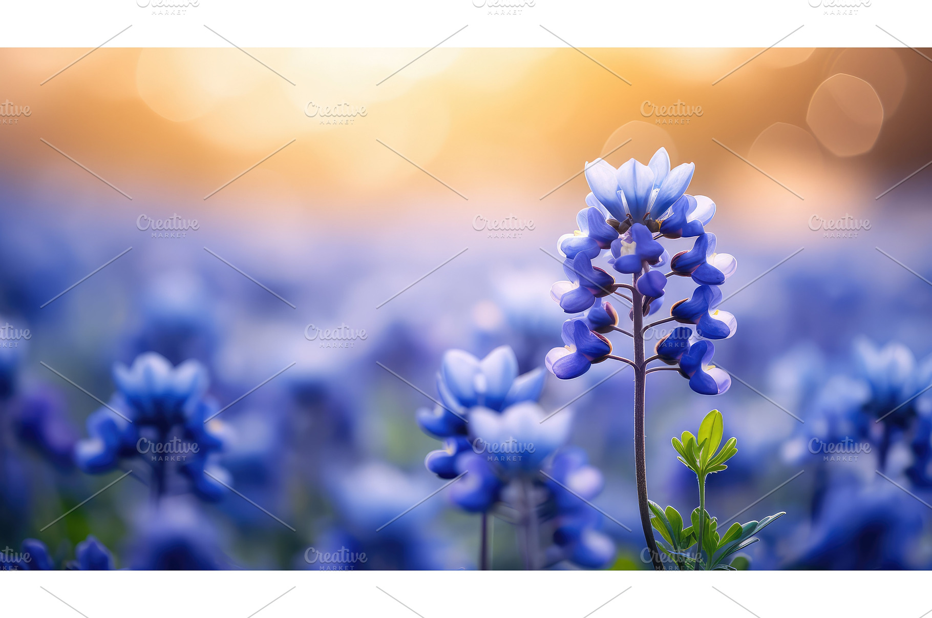 stem bluebonnet road ai generated, a Nature Photo by pikepicture