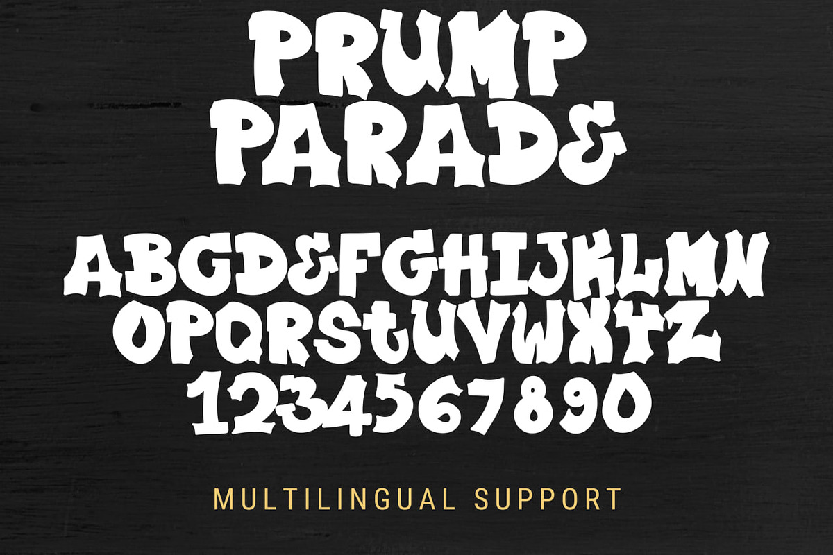 Plump Parade, a Serif Font by Dm Studio (Photo 9 of 10)