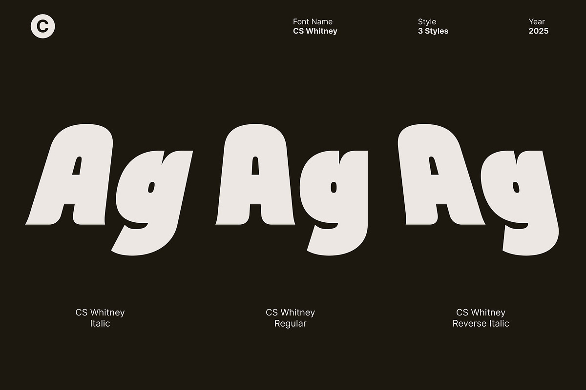 CS Whitney – Chunky Display Font, a Sans Serif Font by Craft Supply Co. (Photo 4 of 8)