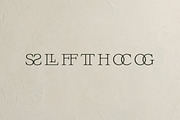Aurora Muse - Modern Duo, a Script Font by Davide Bassu (Thumbnail 21 of 22)