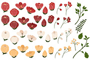 Christmas Flowers Clipart & Vectors, an Illustration by Amanda Ilkov (Thumbnail 3 of 3)