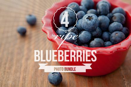 Candied Ginger Photo Bundle Of 4 preview 5