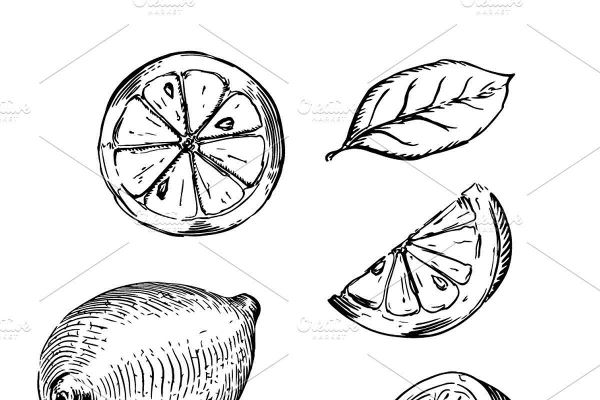 Set of lemons engraving sketches, an Object Graphic by BestPics